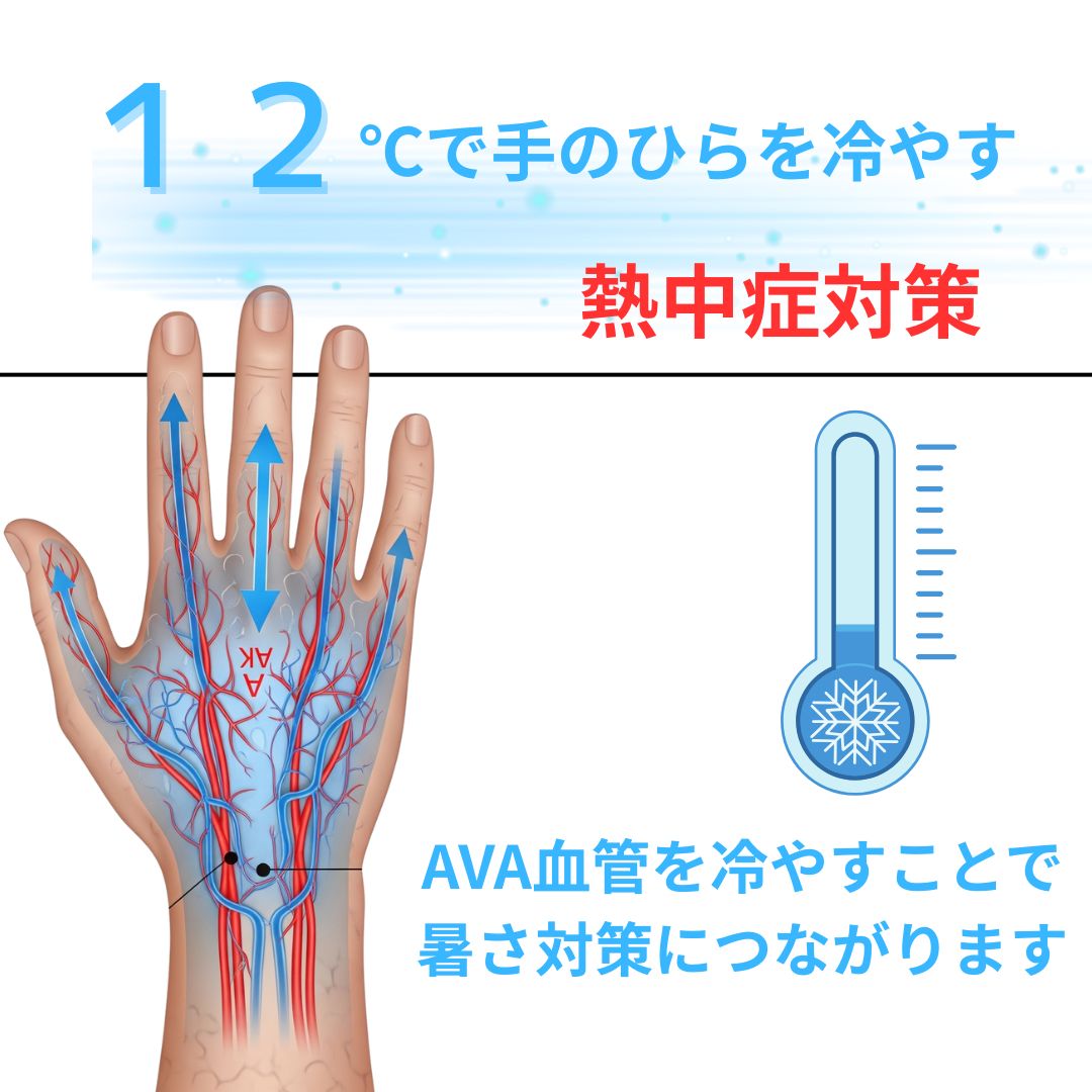 手のひら の 血管